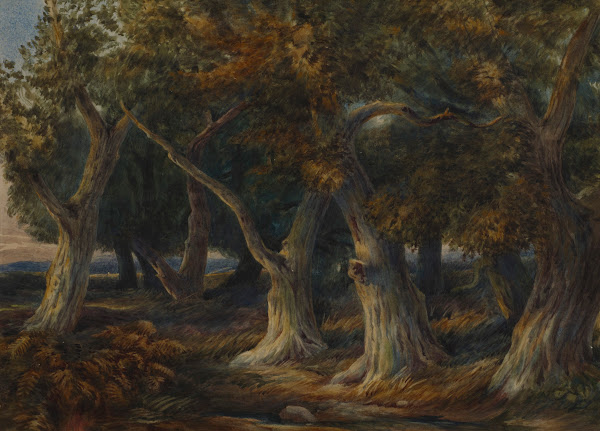 William Frederick Witherington