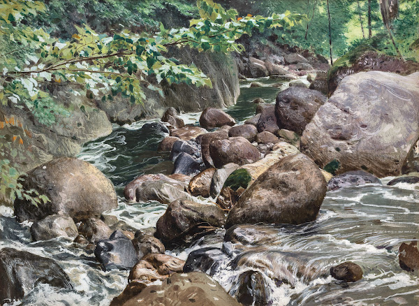 Landschaft mit Wildbach