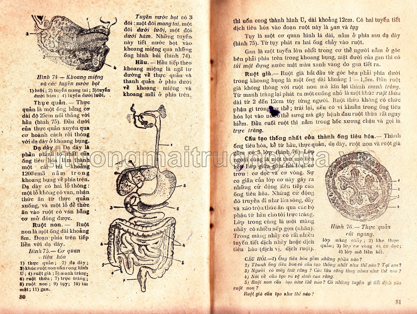 Giải phẫu và sinh lý người (lớp 8 phổ thông, tập 1 - 1960) - Trang 5