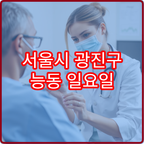 서울시 광진구 능동 일요일 안과 진료 병원 찾기 오늘 안과 문 여는 곳 안내