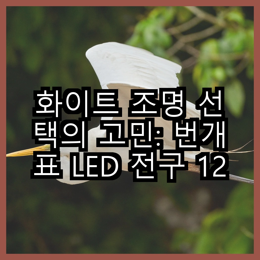 화이트 조명 선택의 고민: 번개표 LED 전구 12W 화이트와 지네전구 줄조명 100구, 어떤 차이가 있을까? 썸네일
