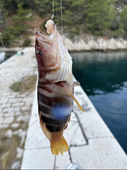 slika