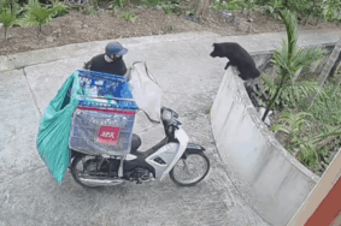 Shipper vừa giao hàng xong, diễn biến tiếp đó khiến dân tình phì cười - Tạp chí SaoStar