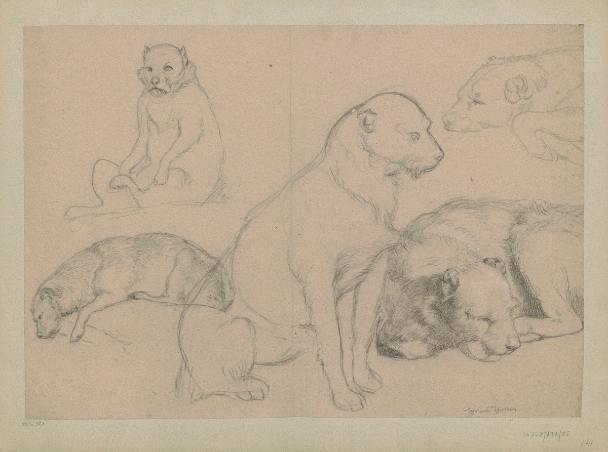 Five dog studies 1860   1920