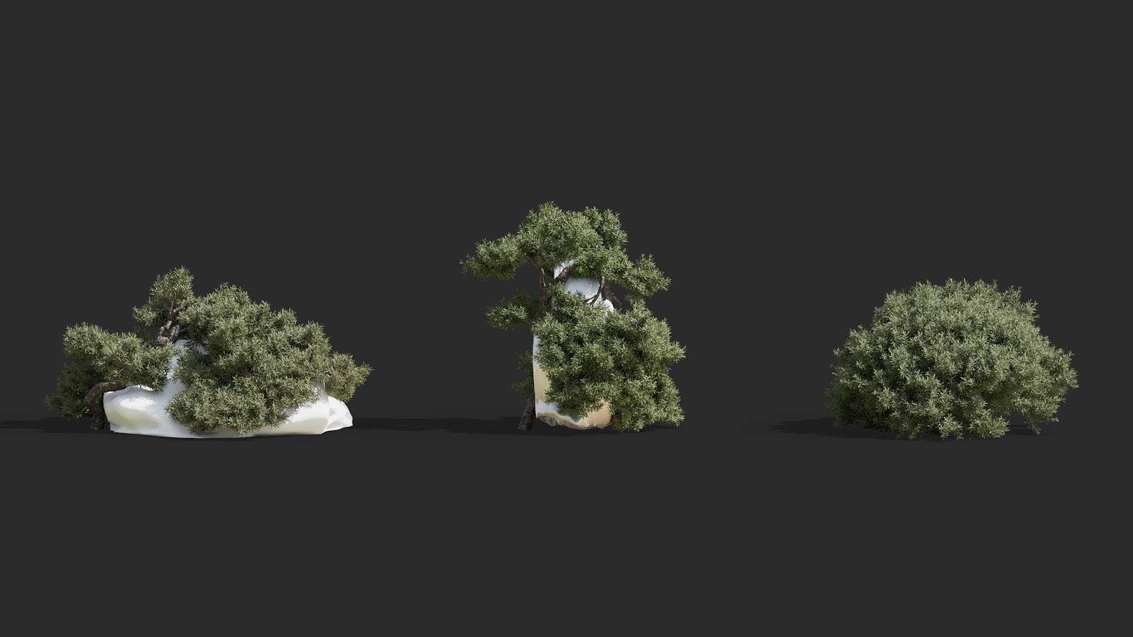 Maxtree - Plant Models Vol.63
