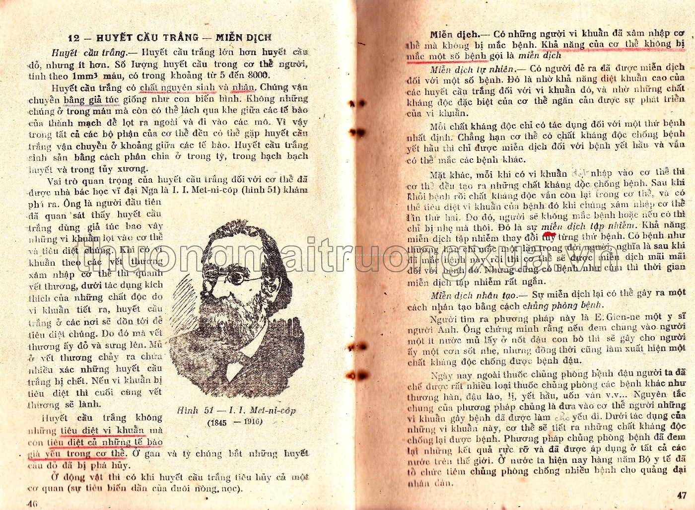 Giải phẫu và sinh lý người (lớp 8 phổ thông, tập 1 - 1960) - Trang 24