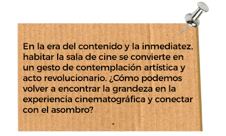 Mi imagen