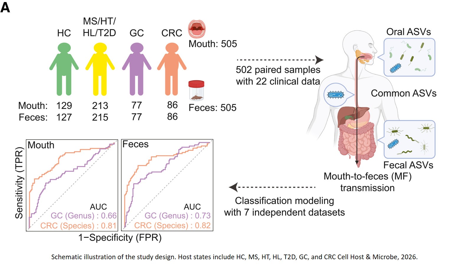 Mouth-to-gut microbial transmission signatures enable robust, non-invasive diagnosis of gastrointestinal cancers