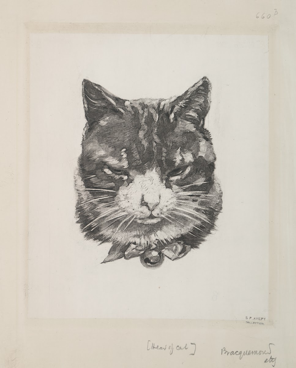 Tête de chat 1866   1878