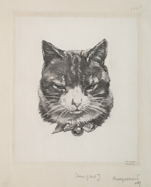Tête de chat 1866   1878