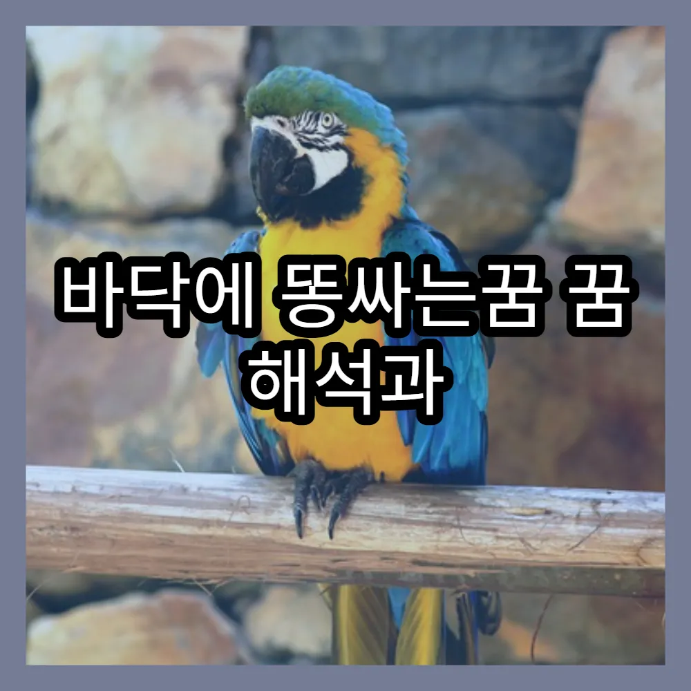 바닥에 똥싸는꿈 꿈 해석과 현실적 의미