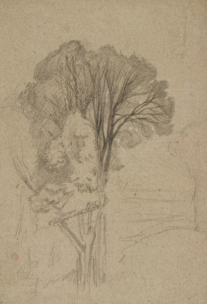 Arbres 19th century
