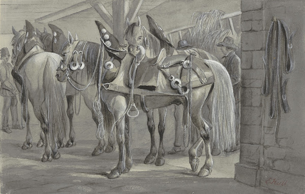 Harnessed horses