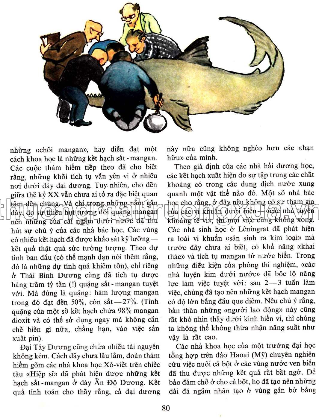 Chuyện kể về kim loại (1989) - Trang 80