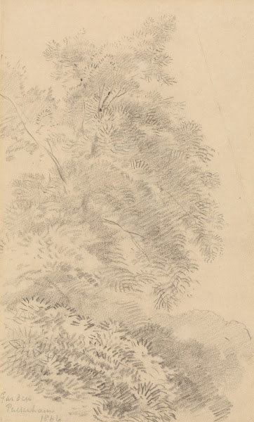 Study of a Tree on a Grassy Bank 1866