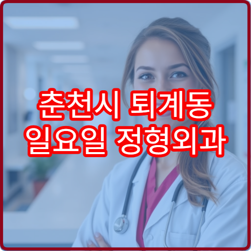 춘천시 퇴계동 일요일 정형외과 휴일 진료 정보