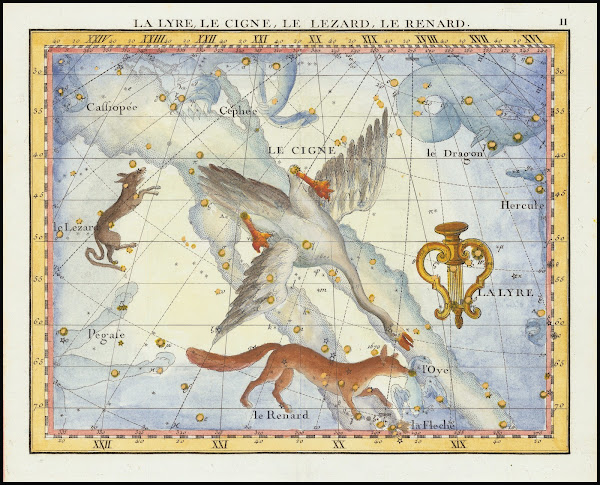 La Lyre Le Cigne Le Lezard Le Renard Lyra Cygnus Lacerta Vupecula 1776