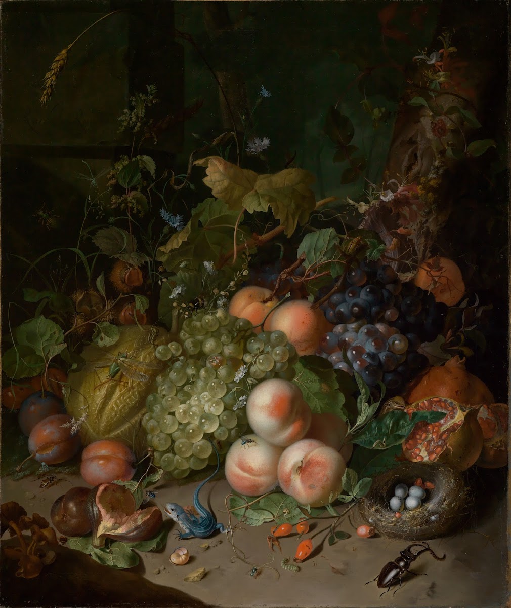 Fruchtstilleben mit Hirschkäfer und Nest 1717