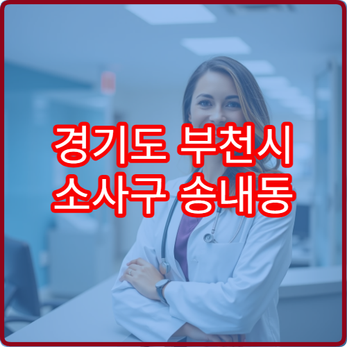 경기도 부천시 소사구 송내동 설날 명절 내과 연휴 진료 병원 감기·몸살·소화불량 당일 진료 안내