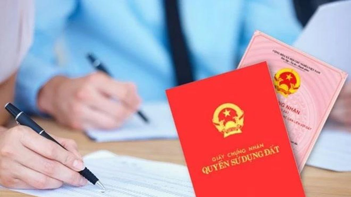 Hiểu đúng đất chữ 'T' trong Giấy chứng nhận quyền sử dụng đất - Báo Tri thức &amp; Cuộc sống