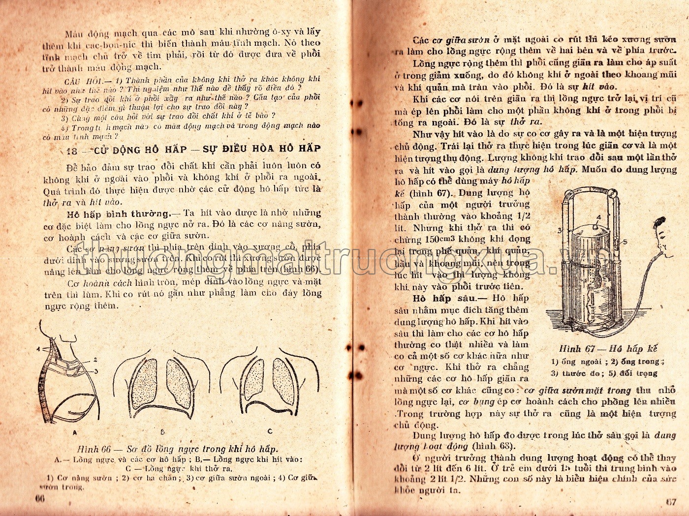 Giải phẫu và sinh lý người (lớp 8 phổ thông, tập 1 - 1960) - Trang 34