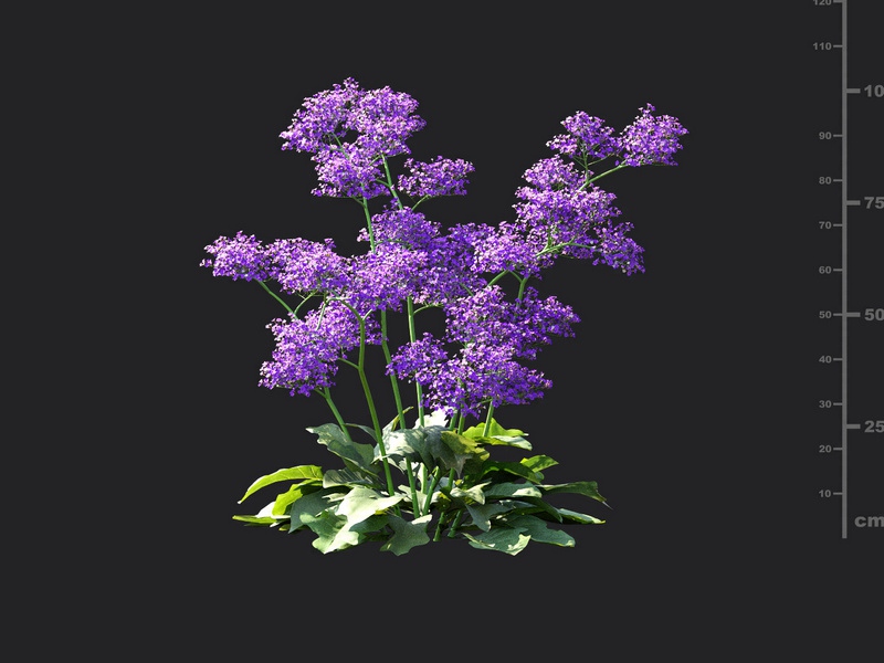 Maxtree - Plant Models Vol.115