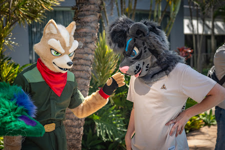 furdu-03658.jpg