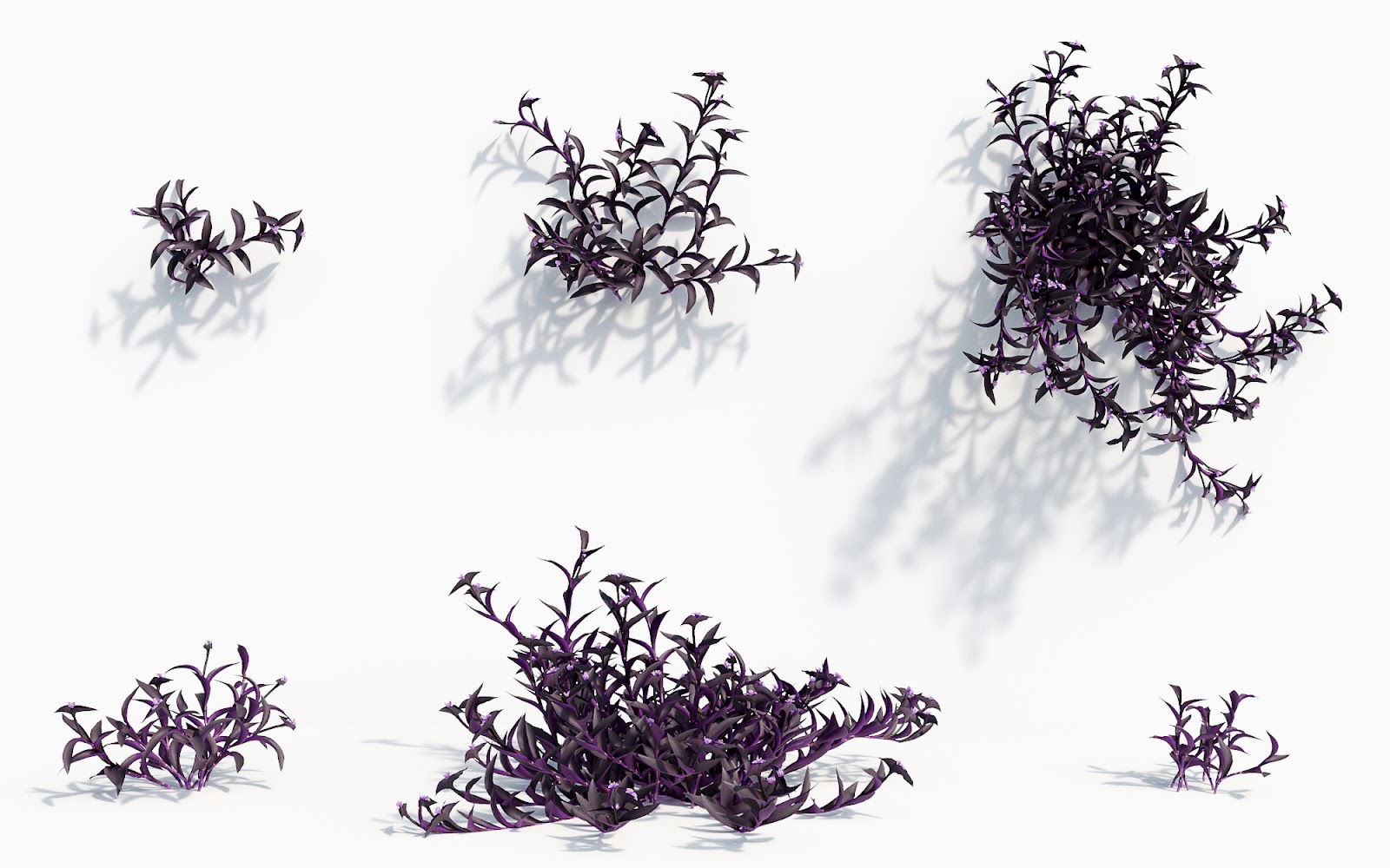 Maxtree - Plant Models Vol.8