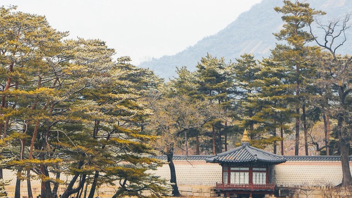전통과 혁신, 두 단어의 의미 변화 흐름과 상호작용
