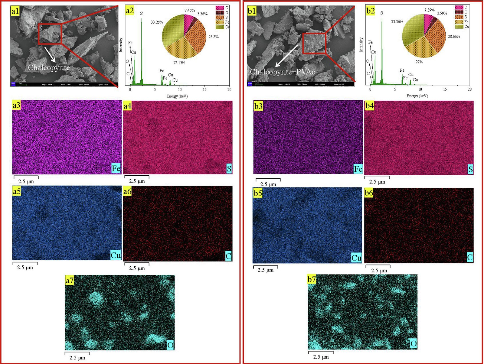 Reverse Floc-Flotation of Talc from Chalcopyrite Using Polyvinyl Acetate as a Flocculant: Adsorption and Bubble Capture Studies