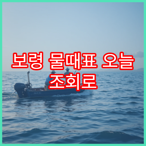 보령 물때표 오늘 조회로 대천해수욕장 해루질 가능시간 확인