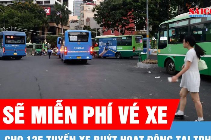 TPHCM sẽ miễn vé xe buýt trên 135 tuyến - Báo Sài Gòn Giải Phóng
