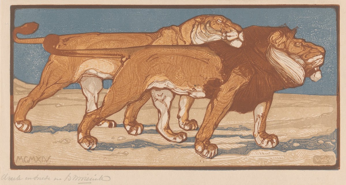Lion and lioness Mating time 1914