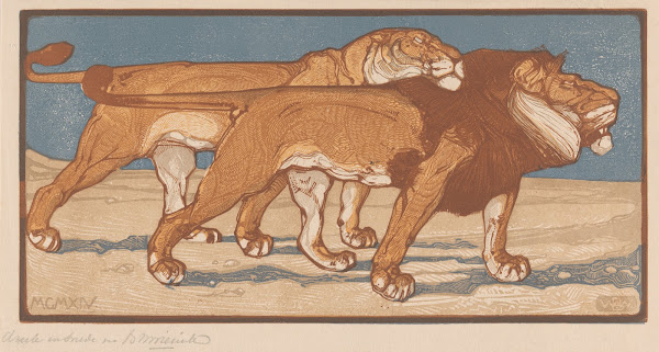 Lion and lioness Mating time 1914