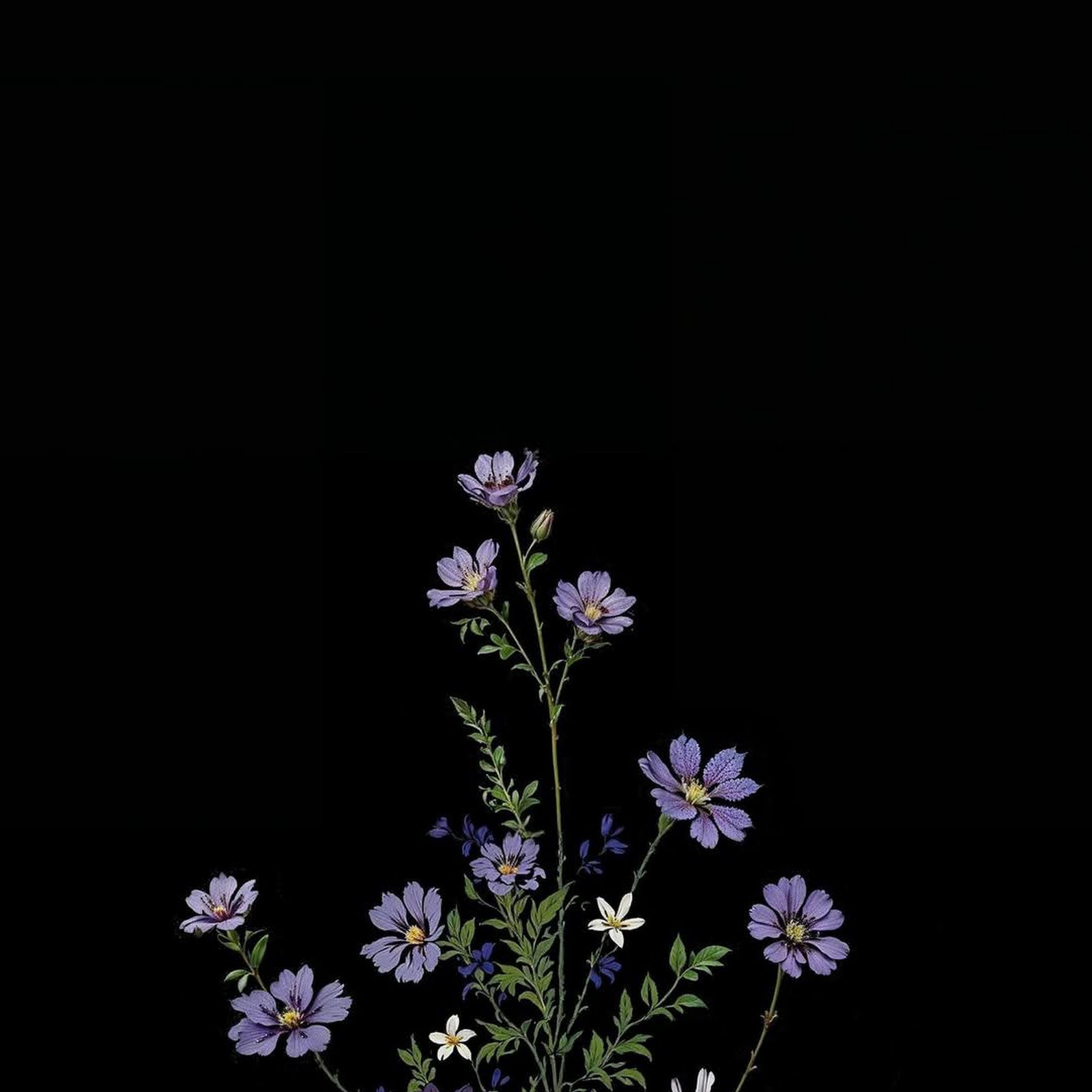 Download Floral, Dark, Illustration, Cosmos Full HD iPhone
