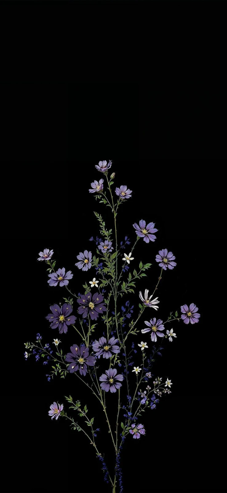 Floral, Dark, Illustration, Cosmos Full HD iPhone Wallpaper Background (1080x2341)