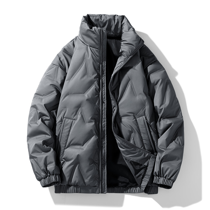 Men's down jacket with stand-up collar