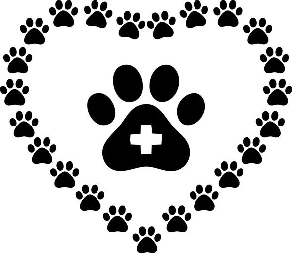 Veterinary Paw Print Heart Free SVG for Glowforge laser cutting and engraving pet care crafts.