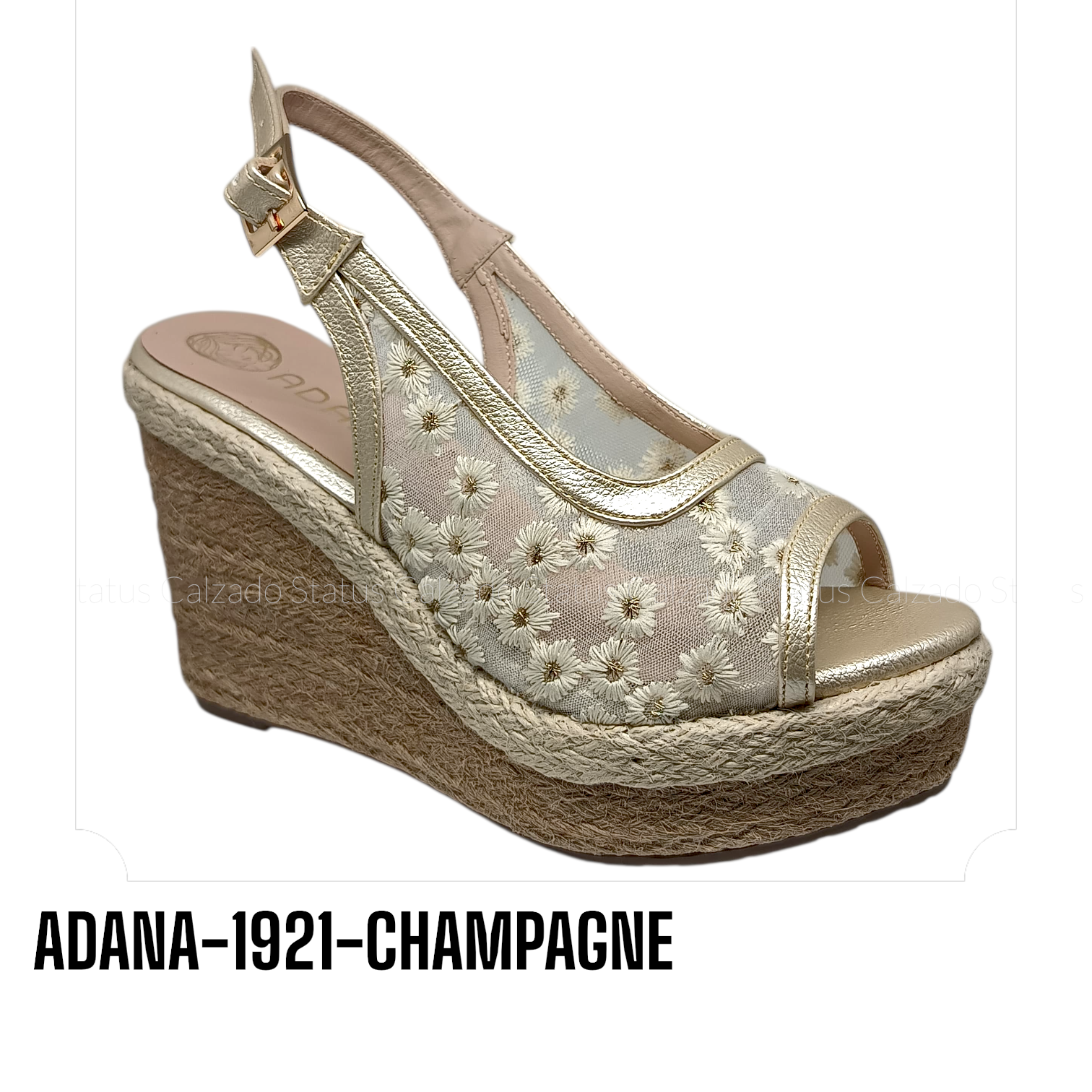 ADANA-1921-CHAMPAGNE