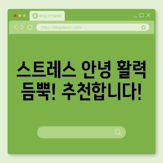 비타민B 복합제, 스트레스 개선 보충제, 피로 회복 영양제, 홍경천 추출물, 마그네슘 및 아연 보충제