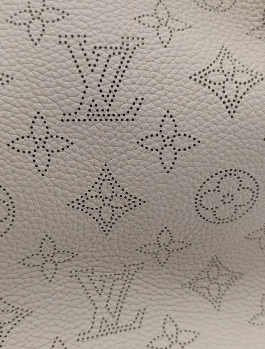 Borsa Louis Vuitton Why Not PM – Image 5
