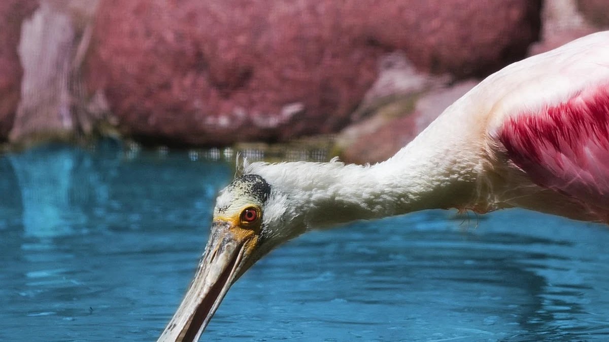 자취방 관리비에 숨어 있는 예상치 못한 항목들