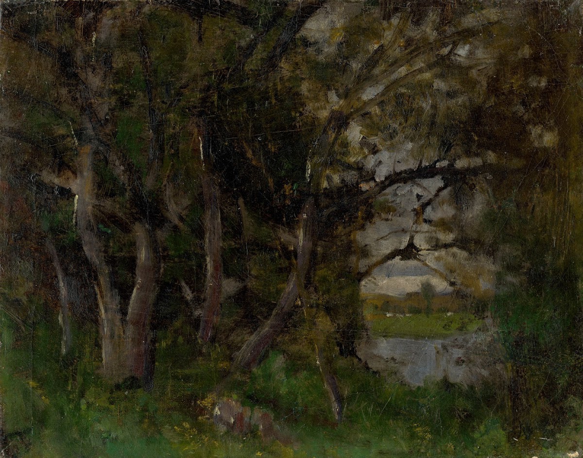 Early Evening Motif in a Park in Strážky 18951900