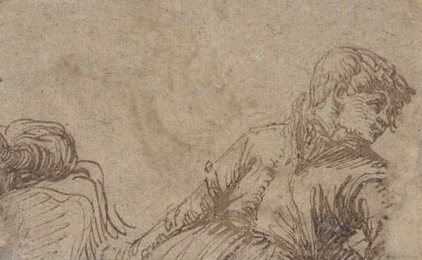 Study of a Young Man 16th century