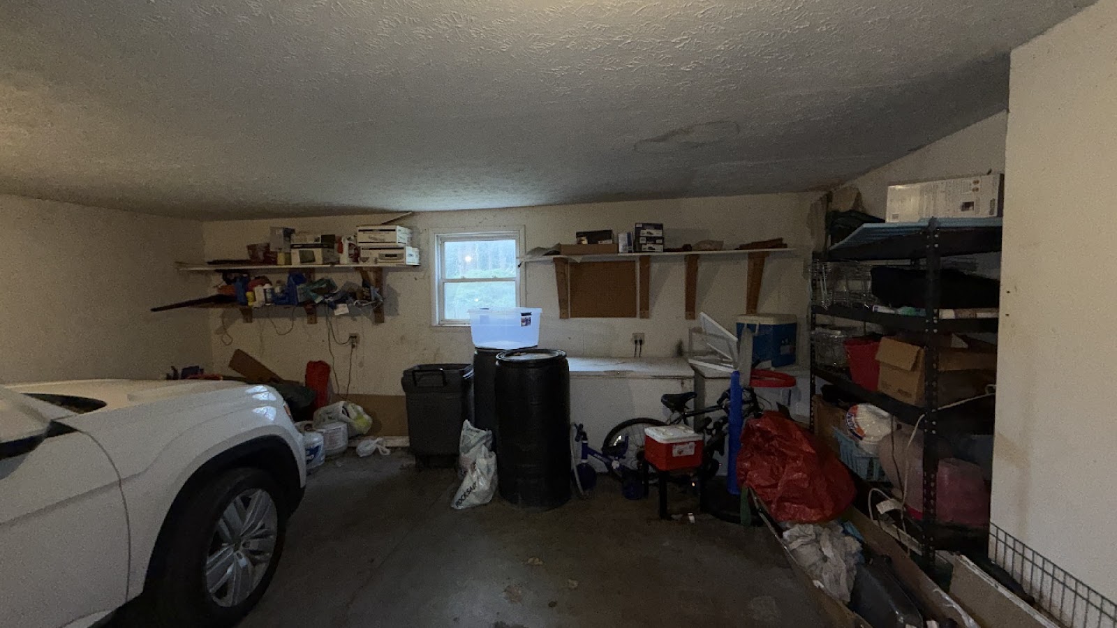 Copy of IMG_2026-03-13_15-01-57_535.jpg