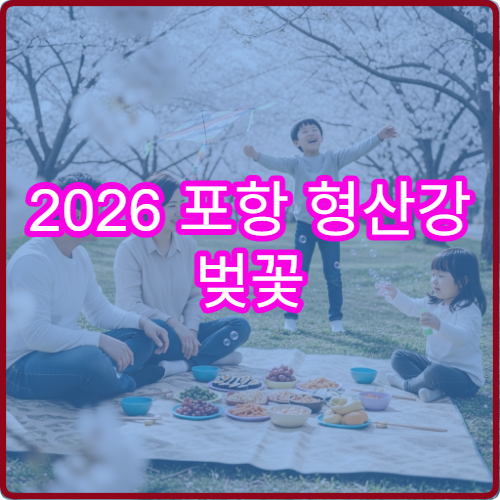 2026 포항 형산강 벚꽃 출사 새벽 5시 30분 황금시간 사진작가 팁