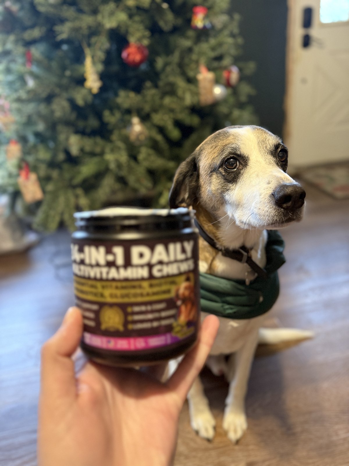 Multivitamin Pup Choice — influencer photo — theme: tick season starting