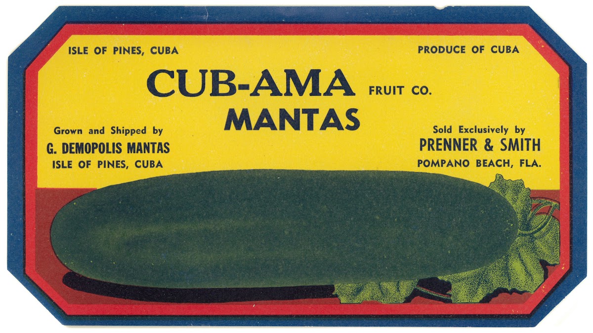 Cub Ama Fruit Company Cucumber Label 1930 1950