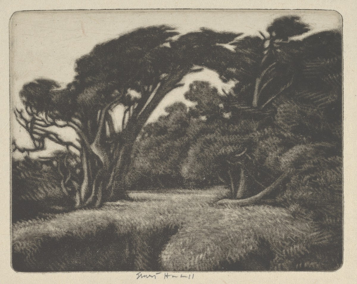 Cypress Bower 1920