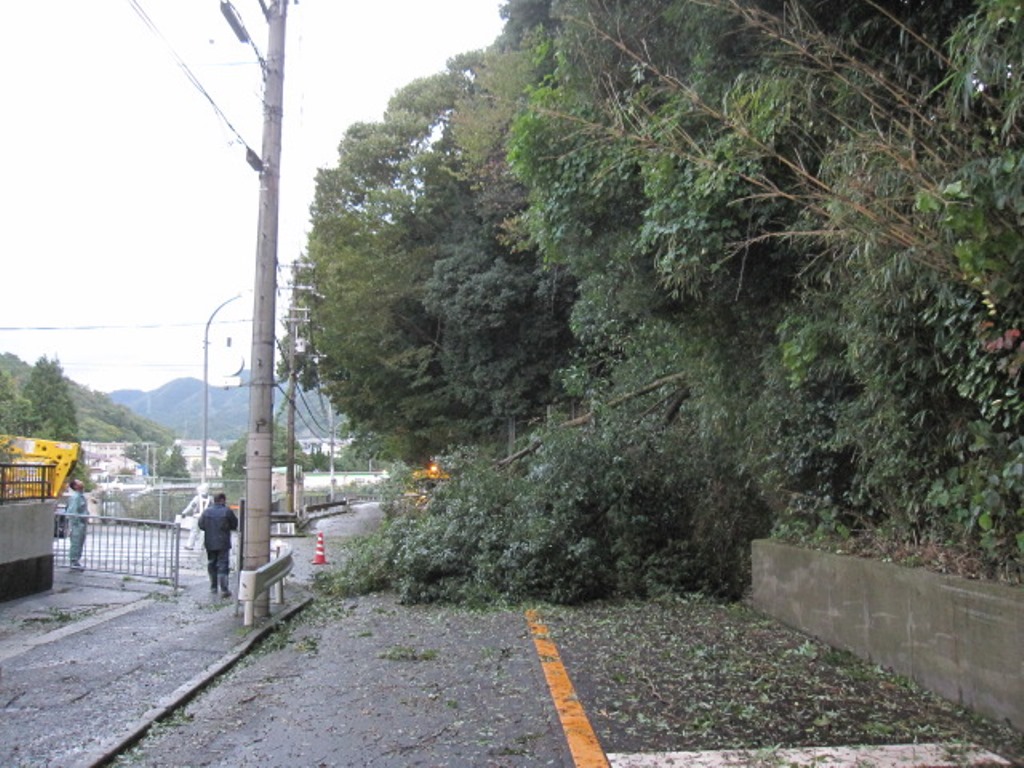 災害により道路がふさがれた状況
